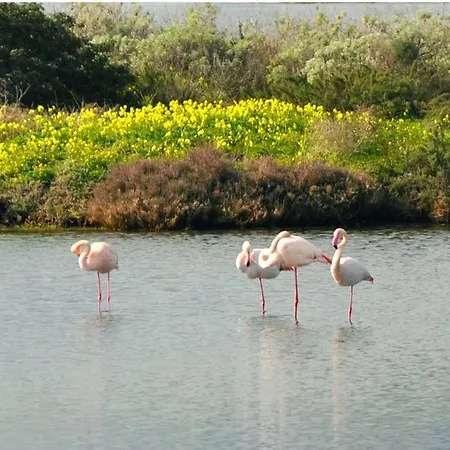 Hébergement de vacances La Casa Di Sara *