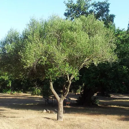 La Casa Di Sara Hébergement de vacances *