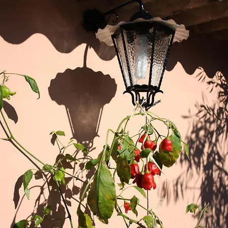 Casa de Férias La Casa Di Sara Pula