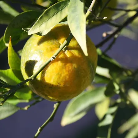 Casa de Férias La Casa Di Sara *