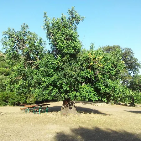 Casa de Férias La Casa Di Sara